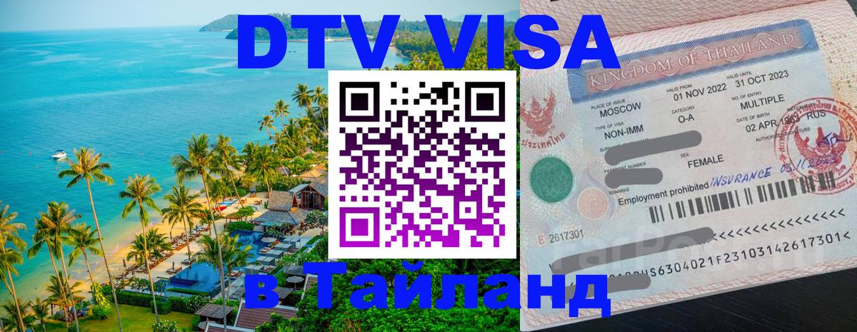 Сколько стоит DTV виза — актуальные цены, оформление даже без документов - Щёлково 